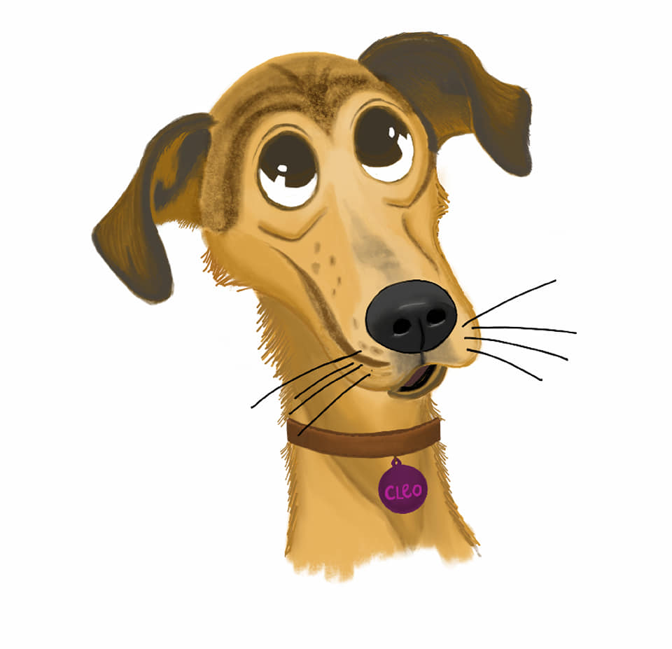 119447292 10158771344411834 2273809520858265160 N